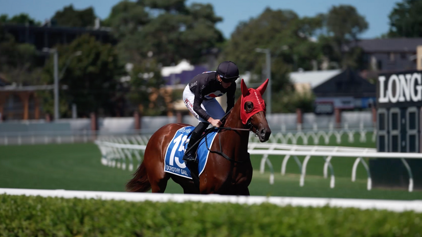 Inglis Classic Yearling Sale